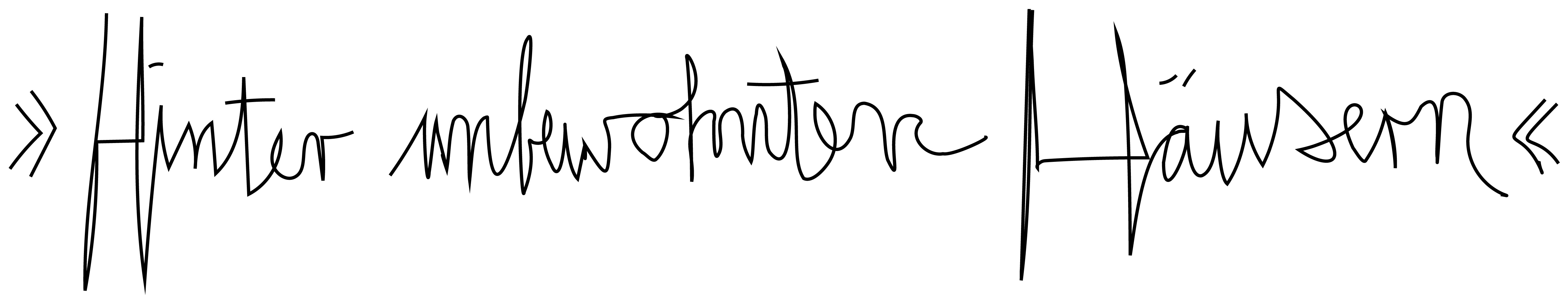 Kaufmann-Frust_Hinter_unbewohnten_Haeusern_Schriftzug_Zeichenflaeche-1-Kopie-3